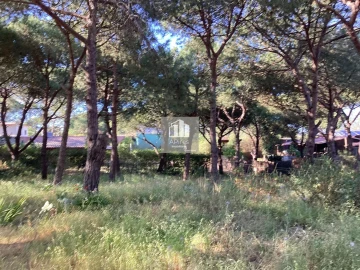 Terreno para Venda em Charneca de Caparica e Sobreda