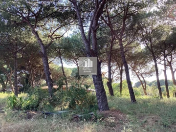 Terreno para Venda em Charneca de Caparica e Sobreda