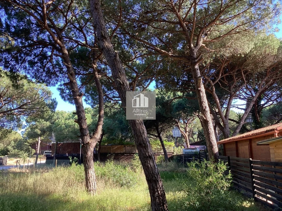 Terreno para Venda em Charneca de Caparica e Sobreda Foto 6