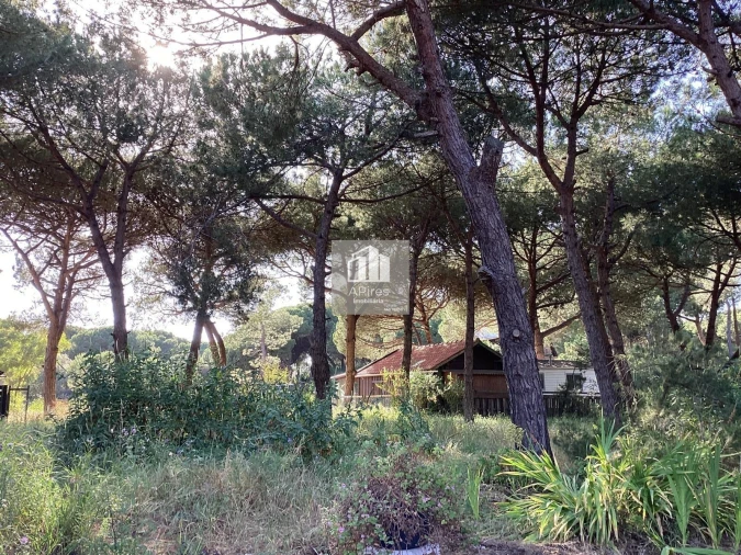 Terreno para Venda em Charneca de Caparica e Sobreda Foto 7