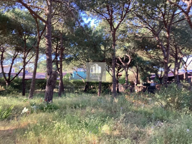 Terreno para Venda em Charneca de Caparica e Sobreda Foto 14