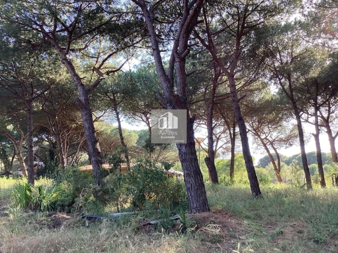 Terreno para Venda em Charneca de Caparica e Sobreda Foto 10
