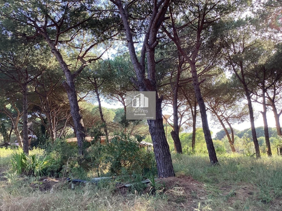 Terreno para Venda em Charneca de Caparica e Sobreda Foto 10