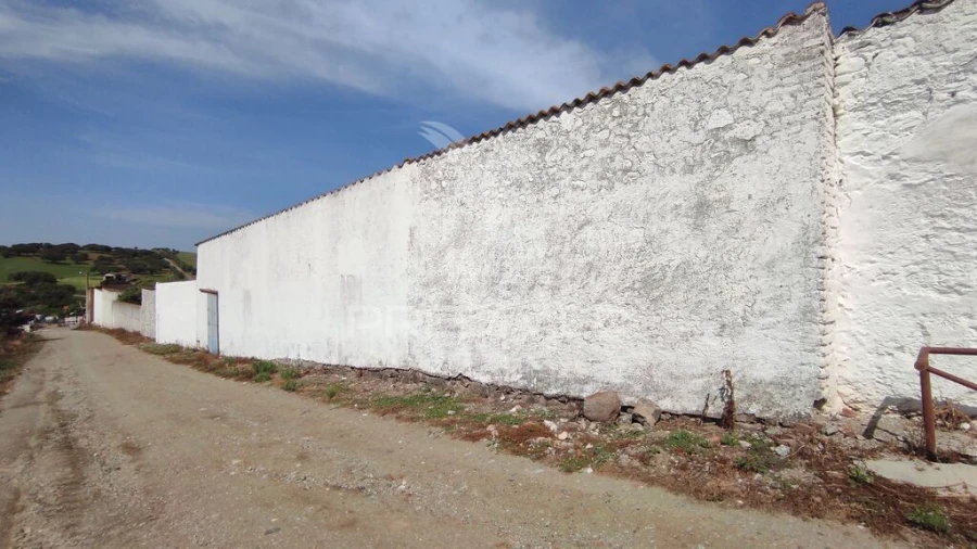 Armazém para Venda em Santa Vitória e Mombeja Foto 19