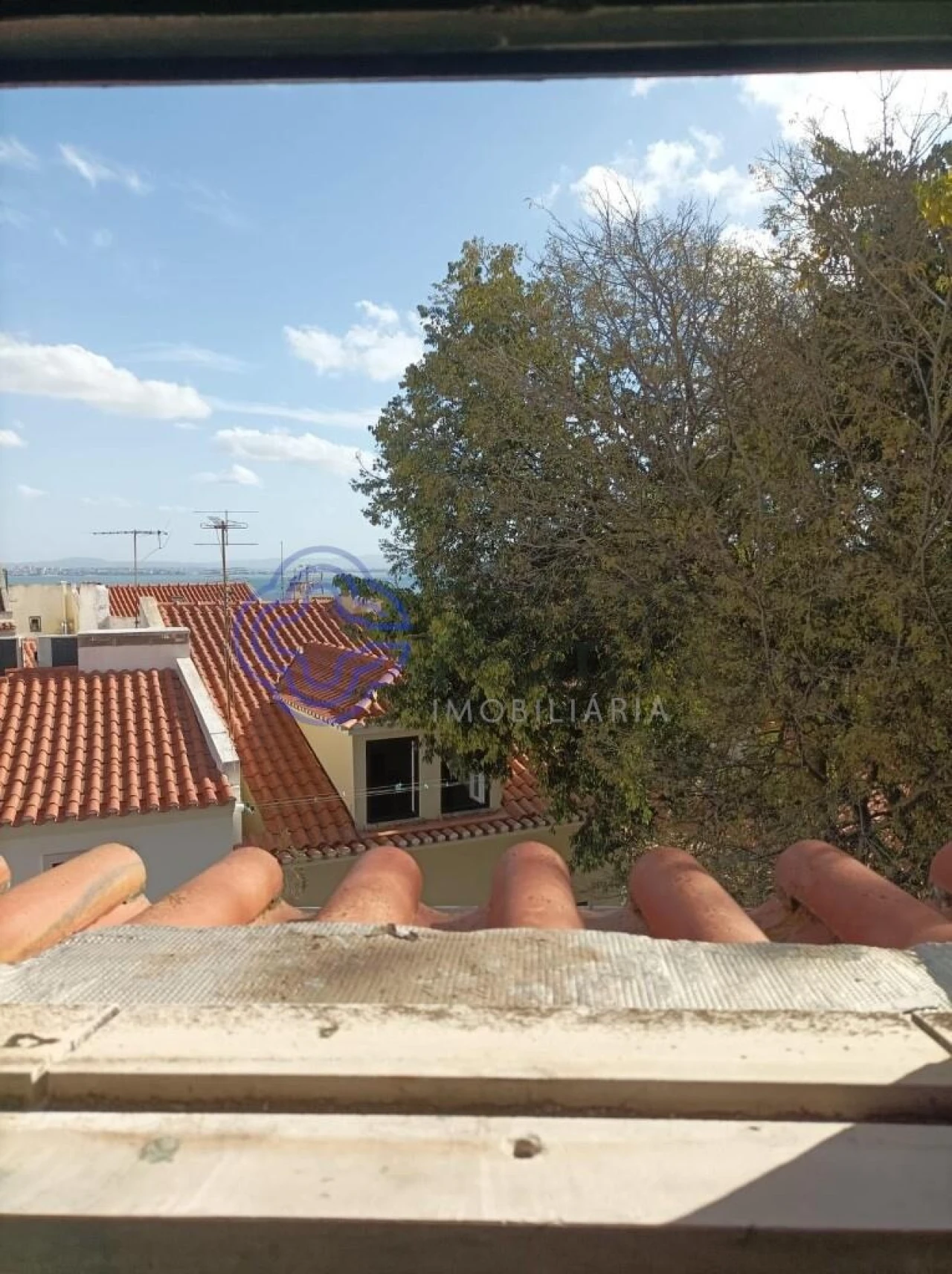 Prédio para Venda em Santa Maria Maior Foto 13