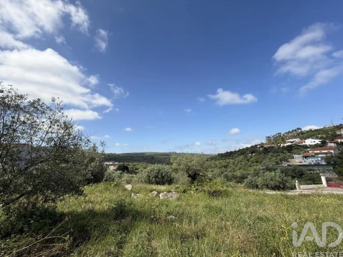 Terreno para Venda em Alqueidão da Serra Foto 19