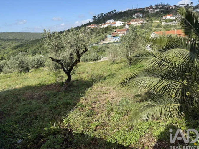 Terreno para Venda em Alqueidão da Serra Foto 10