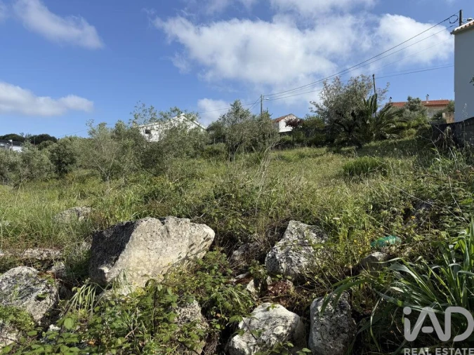 Terreno para Venda em Alqueidão da Serra Foto 11