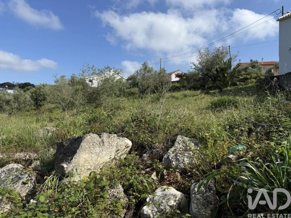 Terreno para Venda em Alqueidão da Serra Foto 11