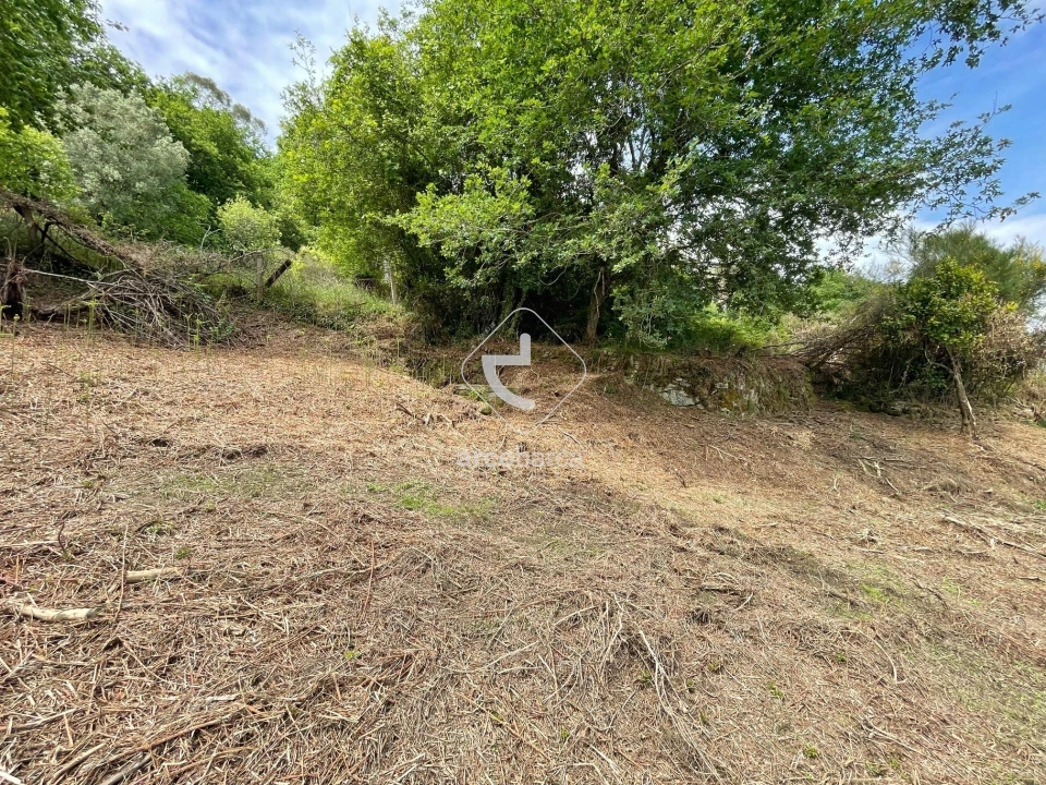 Terreno para Venda em Jolda (Madalena) e Rio Cabrão Foto 11