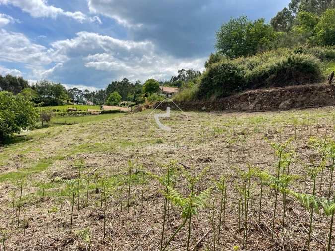 Terreno para Venda em Jolda (Madalena) e Rio Cabrão Foto 3