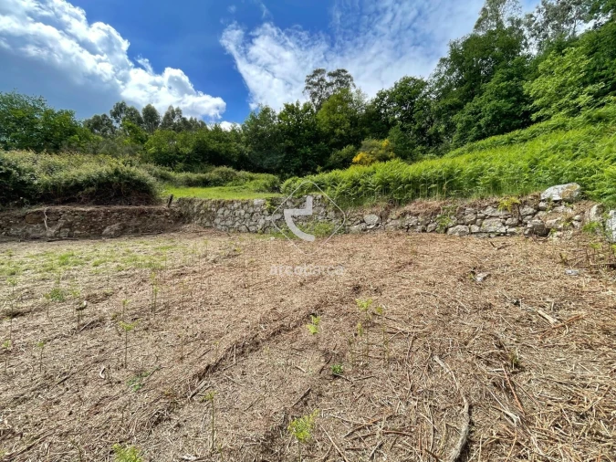 Terreno para Venda em Jolda (Madalena) e Rio Cabrão Foto 4