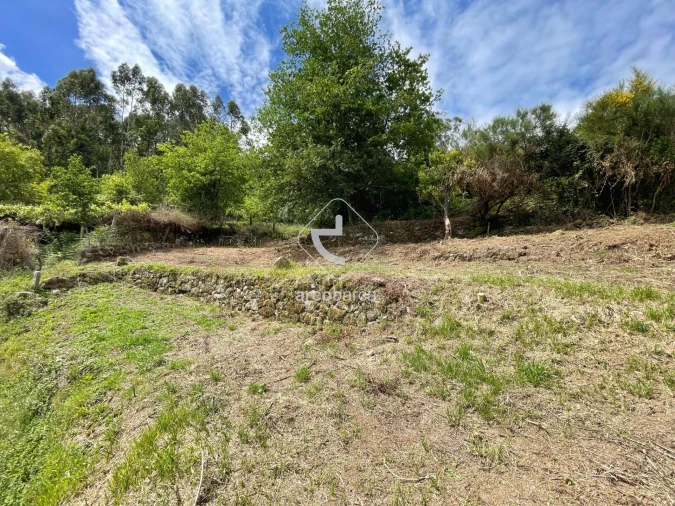 Terreno para Venda em Jolda (Madalena) e Rio Cabrão Foto 8