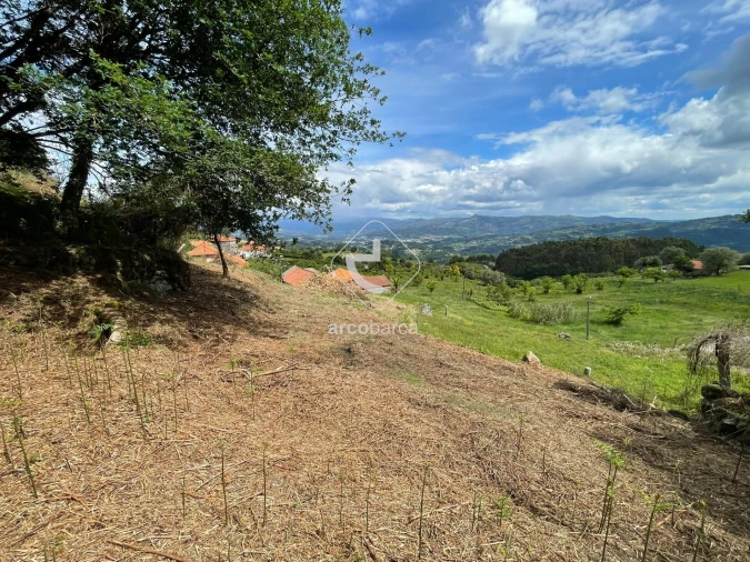 Terreno para Venda em Jolda (Madalena) e Rio Cabrão Foto 9