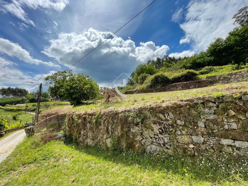 Terreno para Venda em Jolda (Madalena) e Rio Cabrão Foto 2