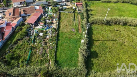 Terreno para Venda em Silveira