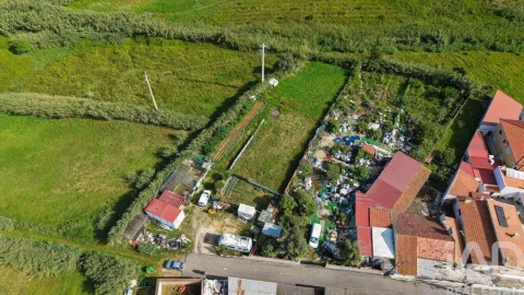 Terreno para Venda em Silveira