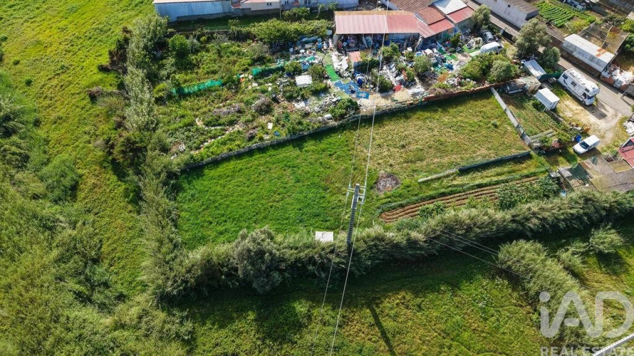Terreno para Venda em Silveira Foto 13