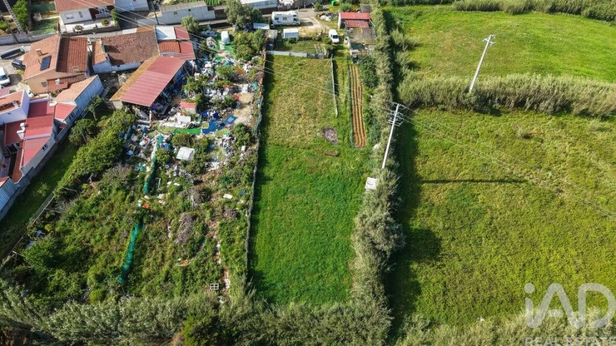 Terreno para Venda em Silveira Foto 11