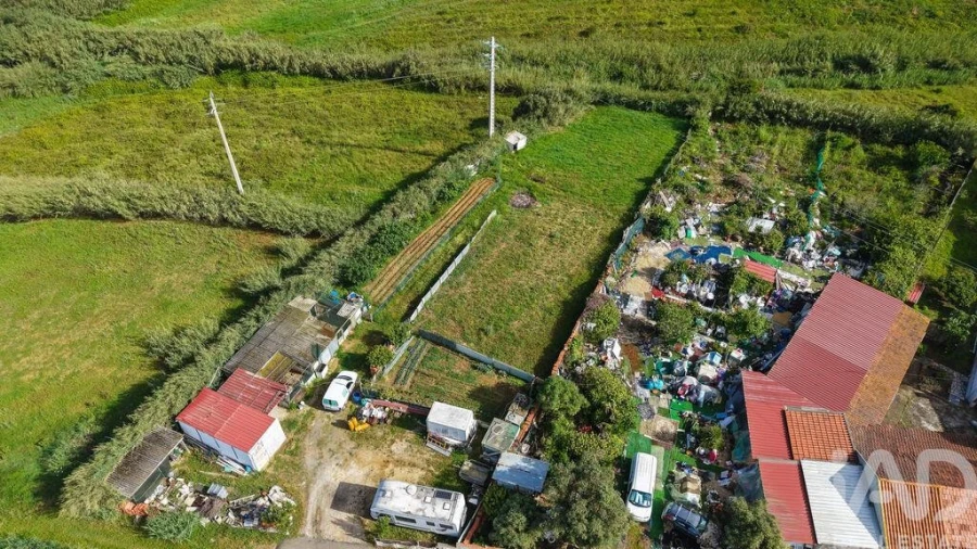 Terreno para Venda em Silveira Foto 4