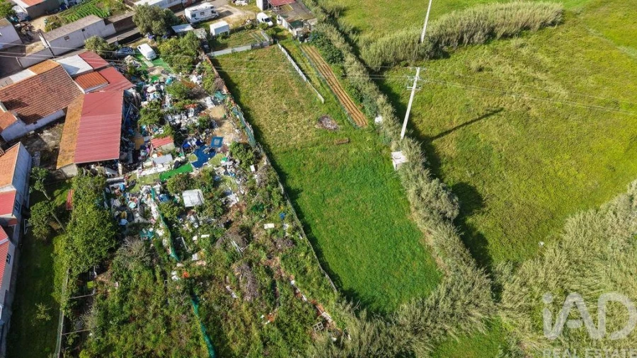 Terreno para Venda em Silveira Foto 10