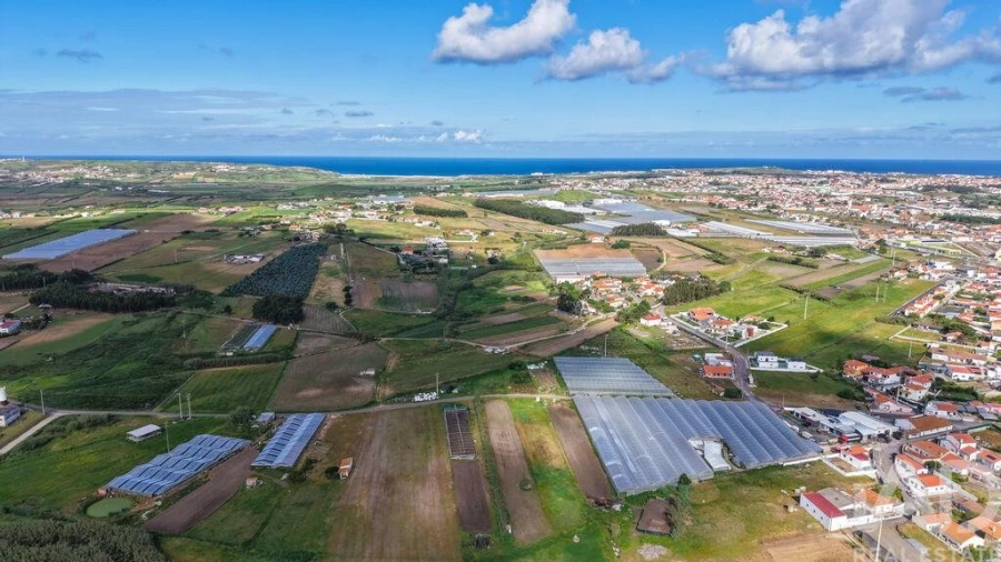 Terreno para Venda em Silveira Foto 14