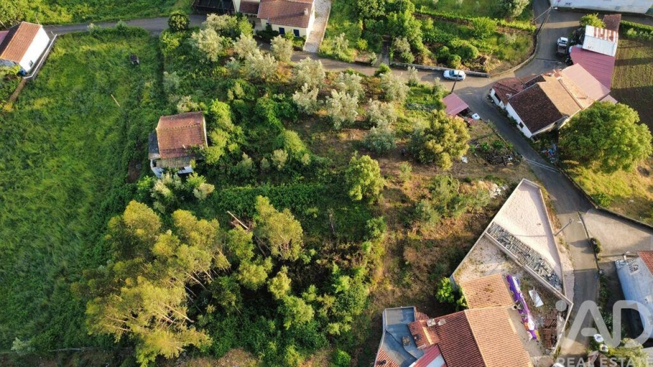 Terreno para Venda em Semide e Rio Vide Foto 18