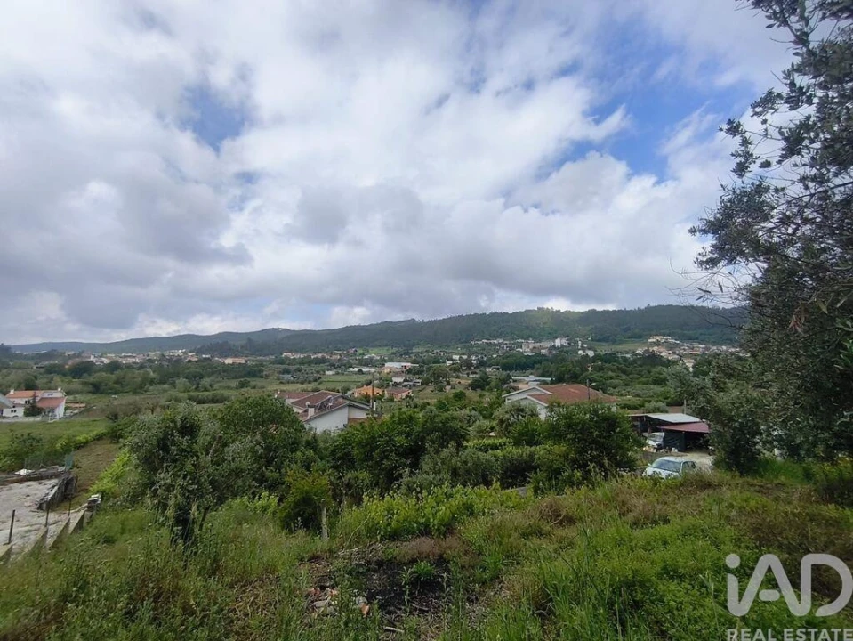 Terreno para Venda em Semide e Rio Vide Foto 23
