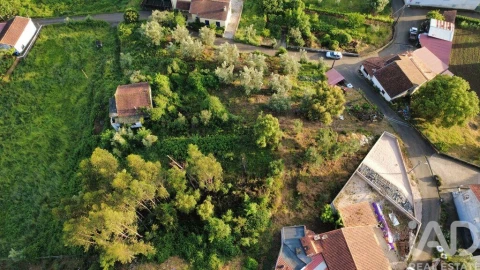 Terreno para Venda em Semide e Rio Vide