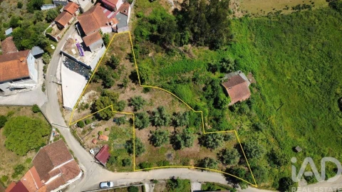 Terreno para Venda em Semide e Rio Vide