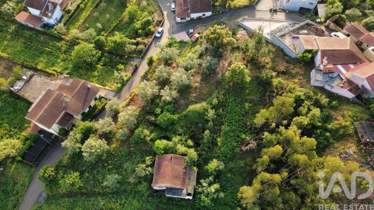 Terreno para Venda em Semide e Rio Vide Foto 19