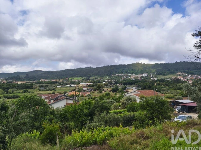 Terreno para Venda em Semide e Rio Vide Foto 24