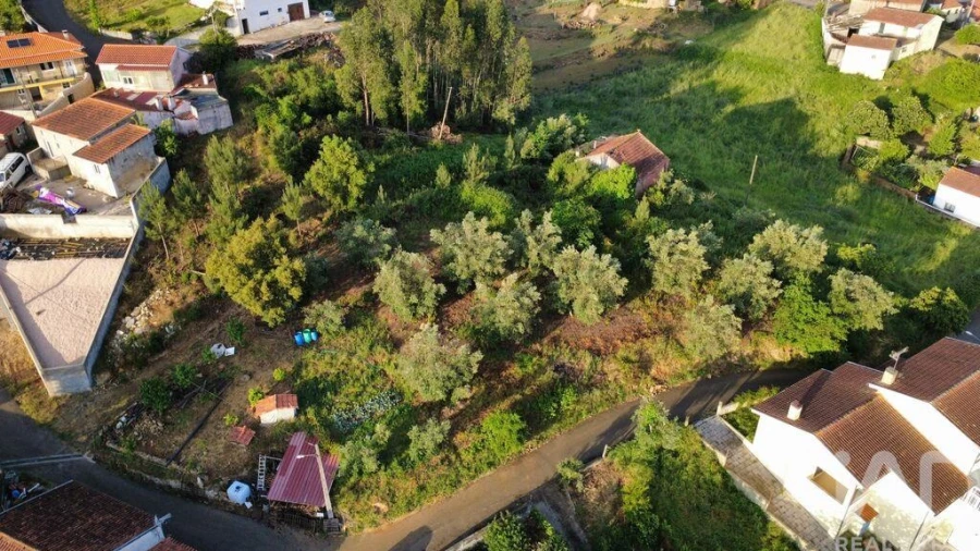 Terreno para Venda em Semide e Rio Vide Foto 20