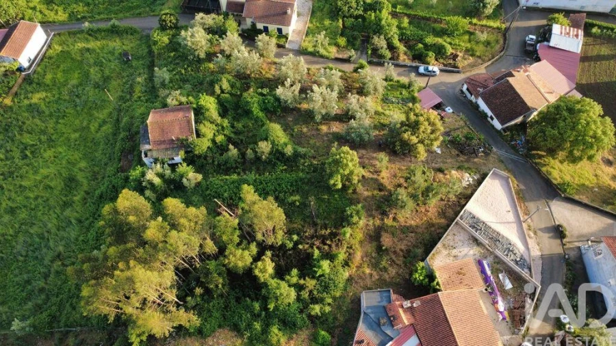 Terreno para Venda em Semide e Rio Vide Foto 18