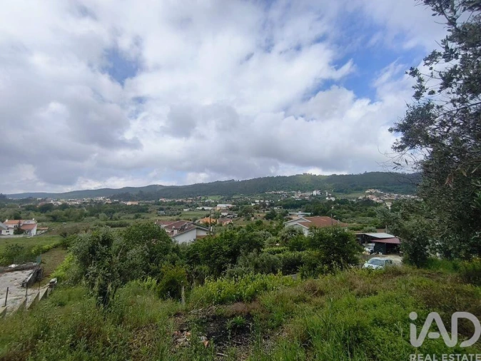 Terreno para Venda em Semide e Rio Vide Foto 23