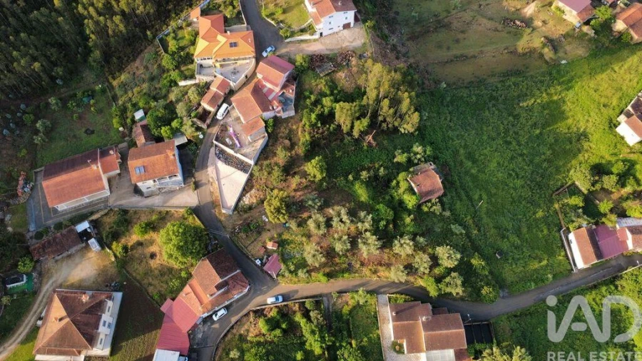 Terreno para Venda em Semide e Rio Vide Foto 14