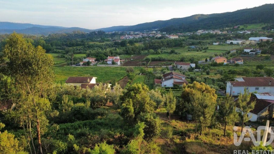 Terreno para Venda em Semide e Rio Vide Foto 25
