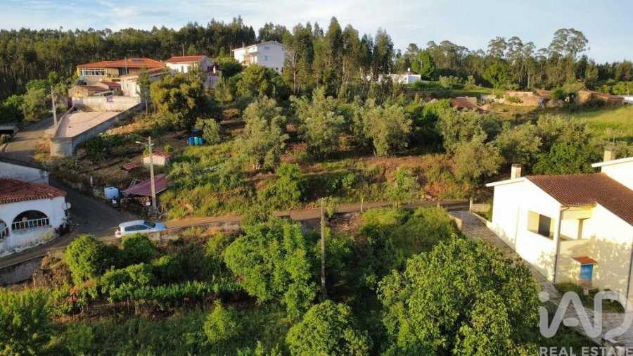 Terreno para Venda em Semide e Rio Vide Foto 15
