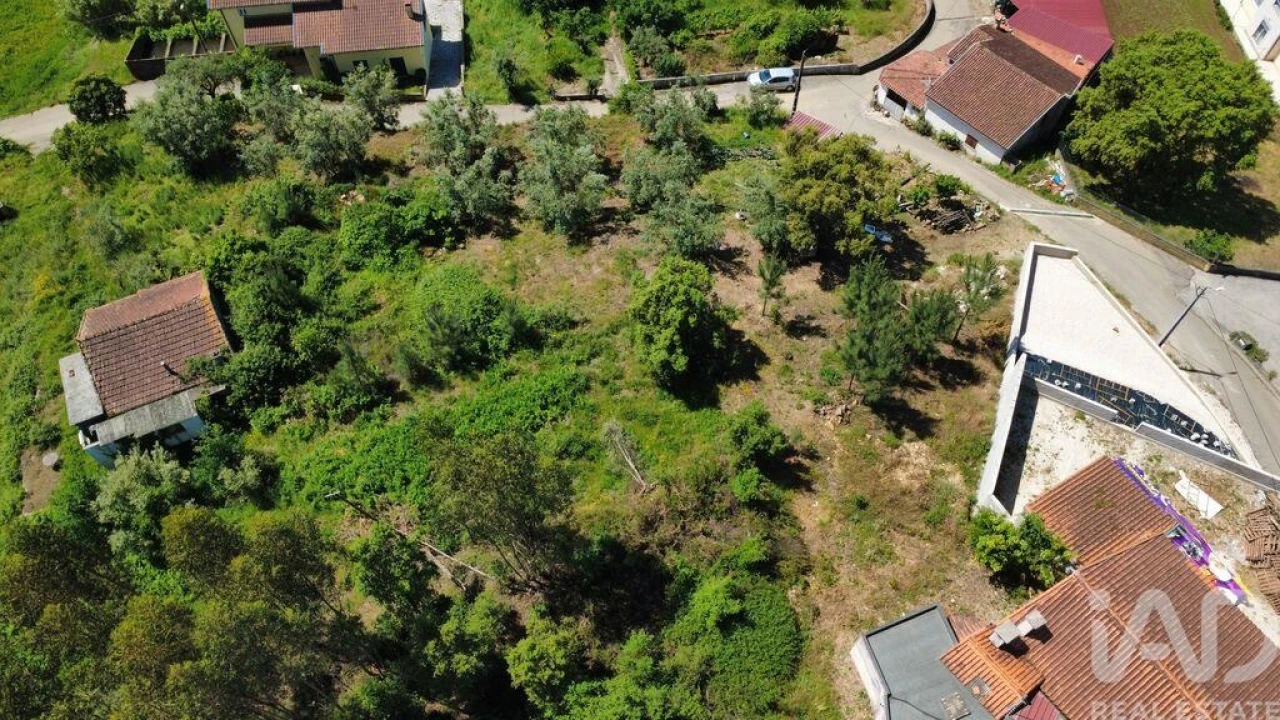 Terreno para Venda em Semide e Rio Vide Foto 9