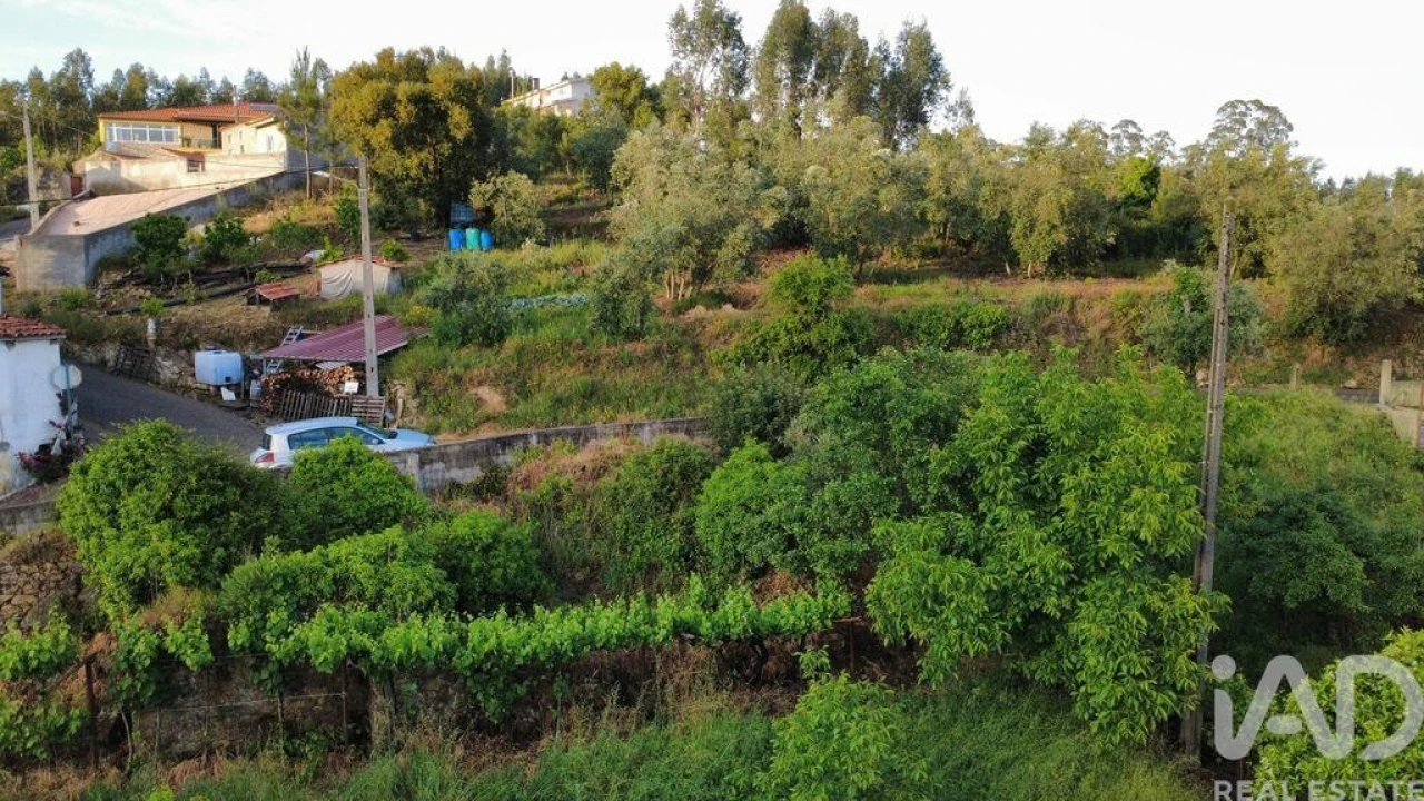 Terreno para Venda em Semide e Rio Vide Foto 12