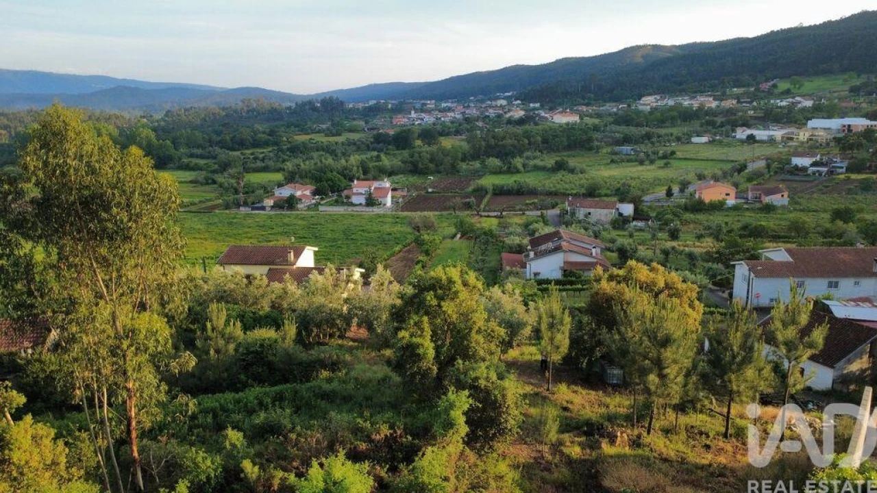 Terreno para Venda em Semide e Rio Vide Foto 22