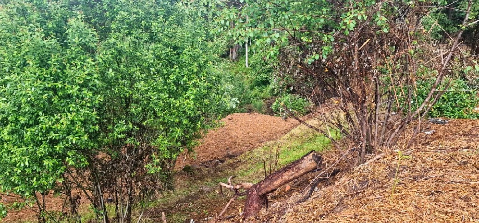 Terreno para Venda em Caniçada e Soengas Foto 5