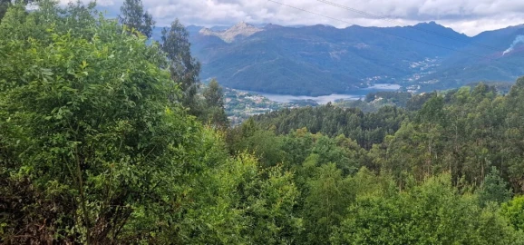 Terreno para Venda em Caniçada e Soengas