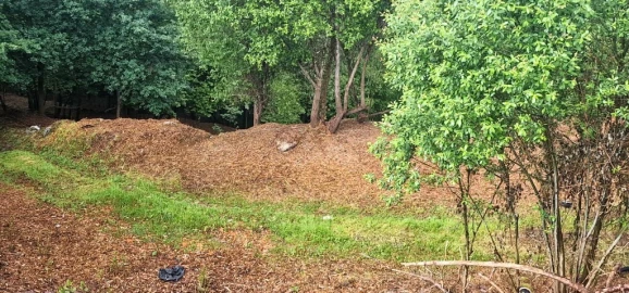 Terreno para Venda em Caniçada e Soengas