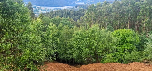 Terreno para Venda em Caniçada e Soengas