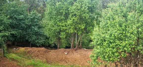 Terreno para Venda em Caniçada e Soengas