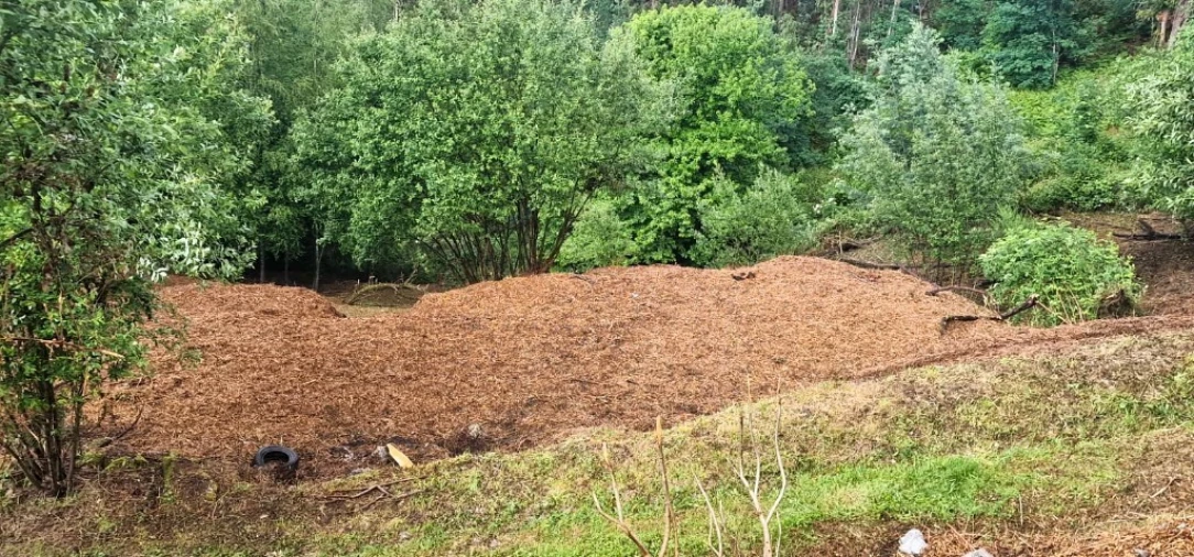Terreno para Venda em Caniçada e Soengas Foto 9