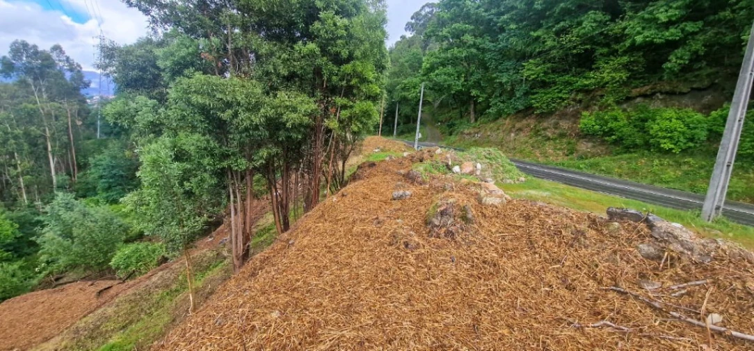 Terreno para Venda em Caniçada e Soengas Foto 2