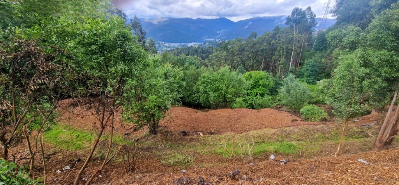 Terreno para Venda em Caniçada e Soengas Foto 1