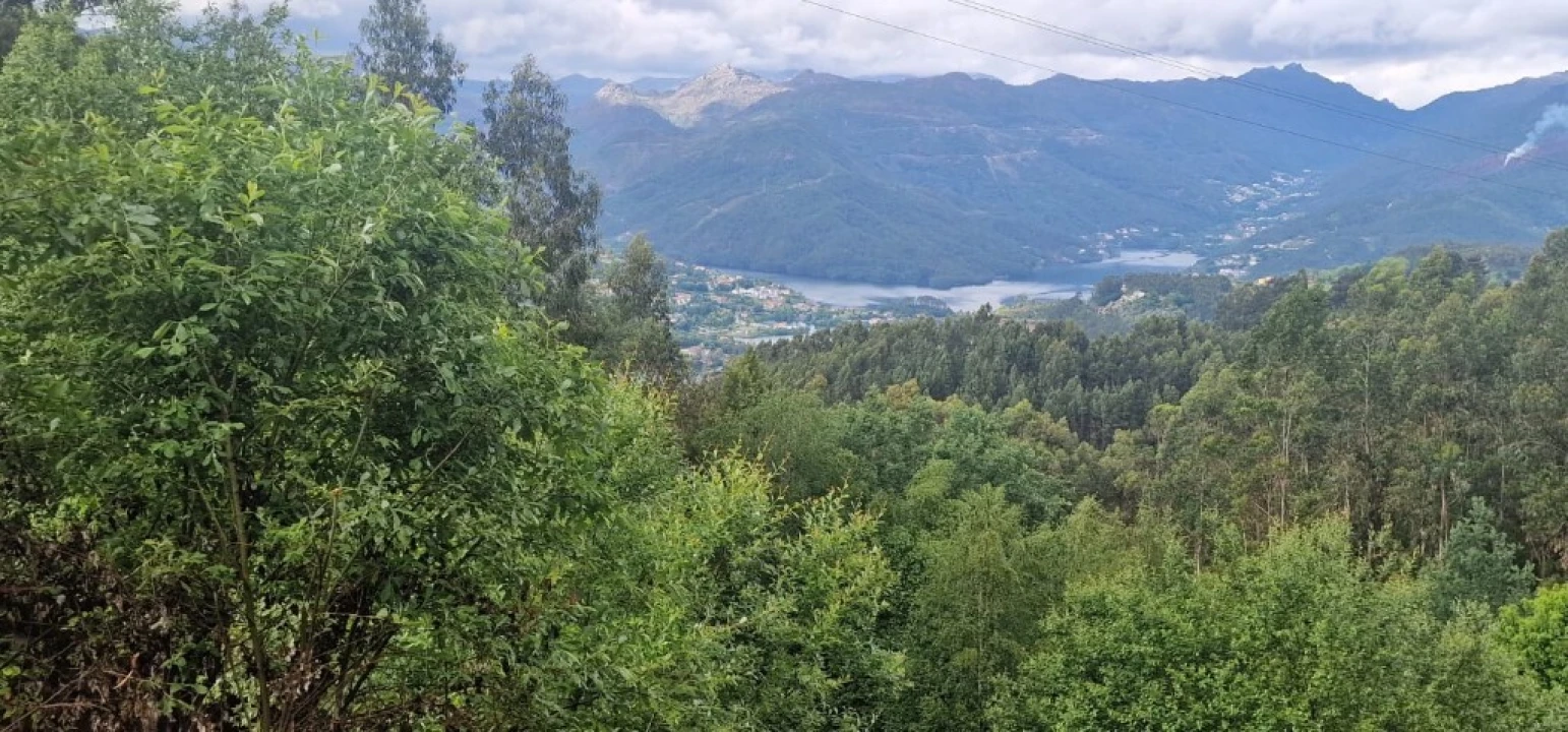 Terreno para Venda em Caniçada e Soengas Foto 11